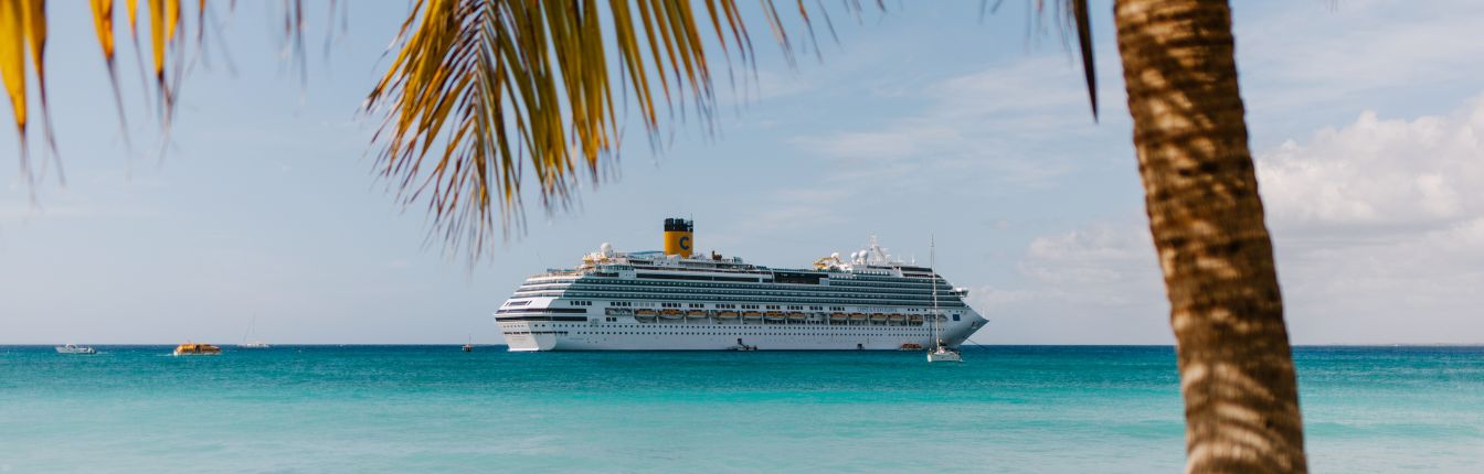 A view of a cruise ship at sea, looking on from a beach with a palm tree.
