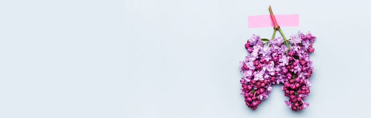 Purple lilac flowers tied together upside down to look like lungs.