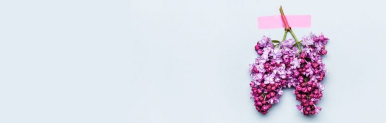 Purple lilac flowers tied together upside down to look like lungs.