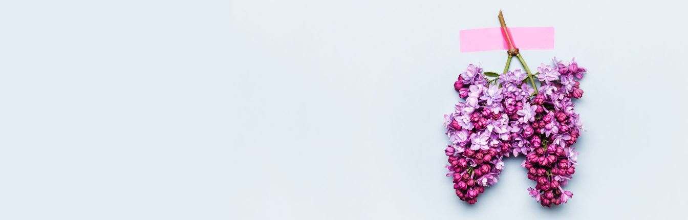 Purple lilac flowers tied together upside down to look like lungs.